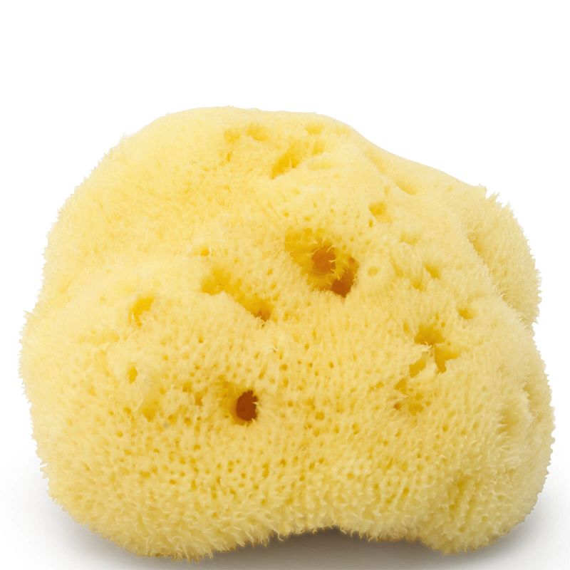ARgENTUM la lune sur l'eau Silk Sea Face Sponge