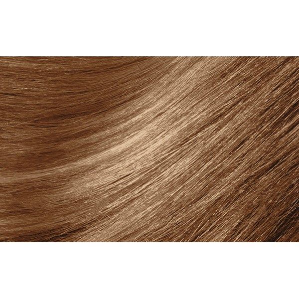 Montibello Dénuée OTC 8.34 Light Blonde Golden Copper