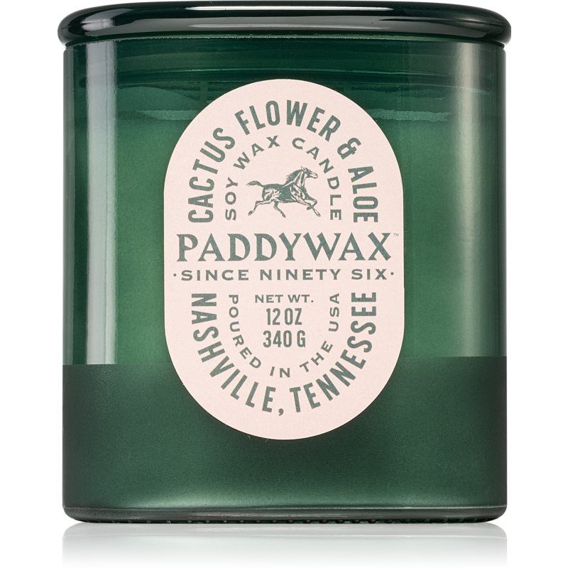 Paddywax Vista Cactus Flower & Aloe Tuoksukynttilä 340 g