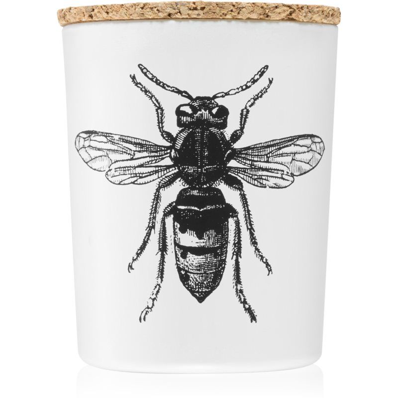 Vila Hermanos Insect Calabrone Tuoksukynttilä 75 g