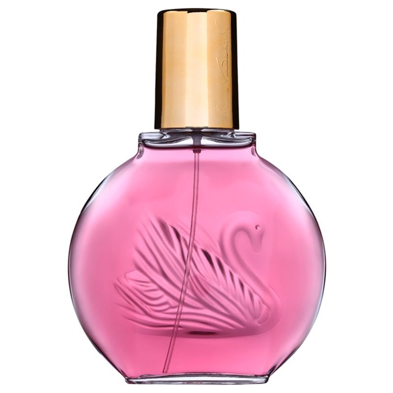 Gloria Vanderbilt Minuit New a York Eau de Parfum Naisille 100 ml