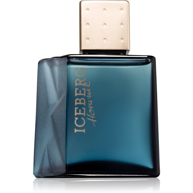 Iceberg Homme Eau de Toilette -tuoksu Miehille 100 ml