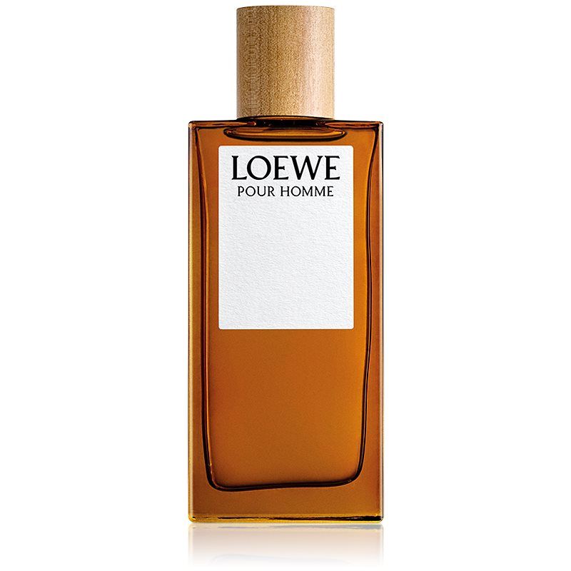 Loewe Loewe Pour Homme Eau de Toilette -tuoksu Miehille 100 ml