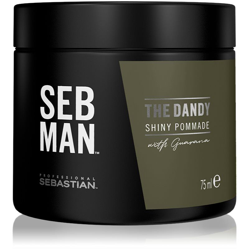 Sebastian Professional SEB MAN The Dandy hiuspomade luonnollinen pito 75 ml