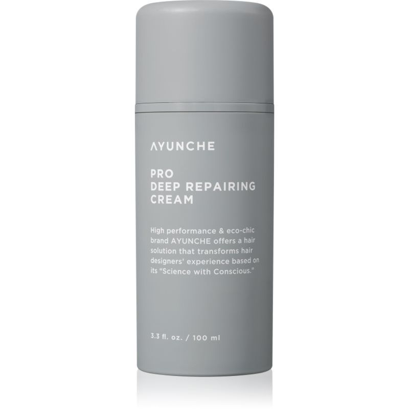 AYUNCHE Pro Deep Repairing Cream syväelvyttävä voide vaurioituneille hiuksille 100 ml