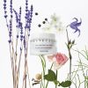 Chantecaille Flower Harmonizing Cream 50ml thumbnail 2