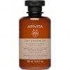 APIVITA Dry Dandruff Shampoo  250 ml thumbnail 1