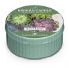 Kringle Candle Daylight Succulents 42 g thumbnail 1