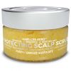 Biovène Hair Loss Hero Protecting Scalp Scrub Hair &amp; Scalp Exfoli thumbnail 1