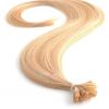 Poze Hairextensions Poze Keratin Standard 50cm 12NA/10B Sunkissed thumbnail 1