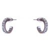 Dazzling Earrings Col Small Creole W Clear Crystals Silver thumbnail 1