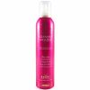 PROFFS STYLING Adamant Roucou Mousse 300 ml thumbnail 1