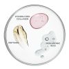 IT Cosmetics Your Skin But Better CC+ Cream with SPF50 12ml (Various Shades) thumbnail 6