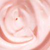 Odacité Restorative Night Cream thumbnail 4