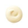 Shiseido Benefiance Wrinkle Smoothing SPF25 Day Cream 50ml thumbnail 2