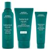 Aveda Botanical Repair Routine thumbnail 1