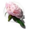 Clinique My Happy Peony Picnic Eau de Parfum 15ml thumbnail 2