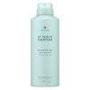 Alterna My Hair My Canvas Another Day Dry Shampoo 142 g thumbnail 1