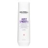 Goldwell Dualsenses Just Smooth Shampoo 250 ml thumbnail 1