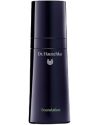 Dr. Hauschka Foundation, 30ml, 03 Chestnut thumbnail 1