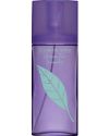 Green Tea Lavender, EdT 100ml thumbnail 1