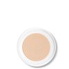 Chantecaille Future Skin Cushion Foundation 12g (Various Shades) thumbnail 2