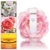 Elizabeth Arden White Tea Wild Rose Eau De Toilette 100 ml thumbnail 4