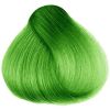 Herman´s Amazing Hair color Olivia Green thumbnail 1