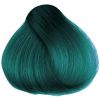 Herman´s Amazing Hair color Tammy Turqoise thumbnail 1
