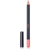 Aden Lipliner Pencil PAPAYA 45 thumbnail 1