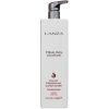 Lanza Healing Color Preserving Conditioner (1000ml) thumbnail 1