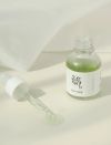 Beauty of Joseon Calming Serum : Green Tea + Panthenol thumbnail 2
