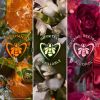 GUERLAIN Aqua Allegoria Mandarine Basilic Forte lahjasetti Naisille thumbnail 7
