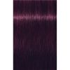 Schwarzkopf Professional IGORA Royal Hiusväri Sävy 0-99 Violet Concentrate 60 ml thumbnail 3
