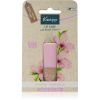 Kneipp Almond huulivoide 4,7 g thumbnail 1