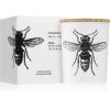 Vila Hermanos Insect Calabrone Tuoksukynttilä 75 g thumbnail 3