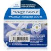 Yankee Candle Midnight Jasmine Tuoksuvaha 22 g thumbnail 1