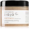 Ziaja Baltic Home Spa Wellness Öljykuorinta 300 ml thumbnail 1