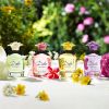 Dolce &amp; Gabbana Dolce Eau de Parfum Naisille 75 ml thumbnail 6