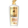 Eveline Cosmetics Royal Snail tehokosteuttava vartalobalsami 350 ml thumbnail 1