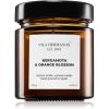 Vila Hermanos Apothecary Bergamot &amp; Orange Blossom Tuoksukynttilä 120 g thumbnail 1