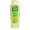 Instituto Español Aloe Vera Rentouttava Suihkugeeli 1250 ml thumbnail 1