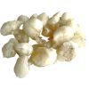 Jungle Way Oman Hojari White Royal olibaanihartsi 20 g thumbnail 1