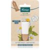 Kneipp Repair & Prevent huulivoide Lemon Balm & Chamomile 4,7 g thumbnail 1