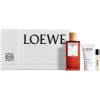 Loewe Solo Cedro lahjasetti Miehille thumbnail 1