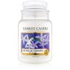 Yankee Candle Midnight Jasmine Tuoksukynttilä 623 g thumbnail 1