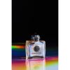 Amouage Portrayal Eau de Parfum Naisille 100 ml thumbnail 7