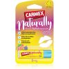 Carmex Berry Kosteuttava Huulibalsami 4,25 g thumbnail 1