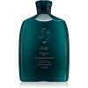 Oribe Moisture &amp; Control tehokkaasti elvyttävä shampoo Kurittomille Hiuksille 250 ml thumbnail 1