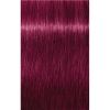 Schwarzkopf Professional IGORA Royal Hiusväri Sävy 0-89 Red Violet Concentrate 60 ml thumbnail 5